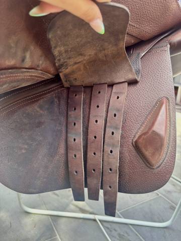 Sella da salto ostacoli CWD  17.5" - 2023