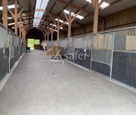 Propriet&agrave; equestre In vendita Calvados