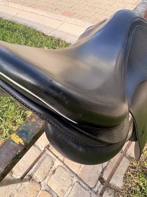 Sella mista Prestige Italia Golden star 17" - 2015