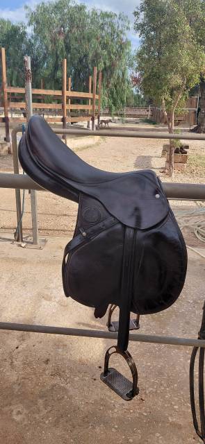 Sella mista Pariani  18" - 2010