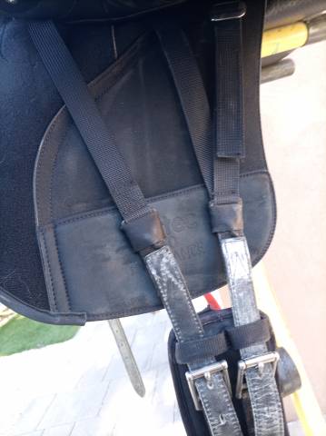 Sella mista Wintec Wintec Pro Endurance Cair Hart  17.5" - 2023