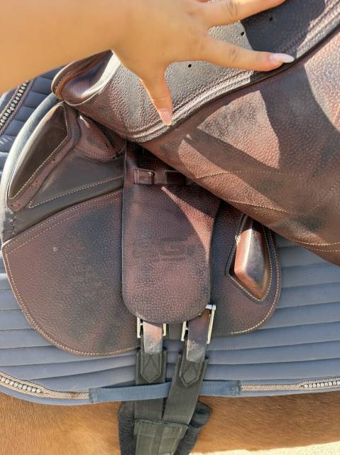 Sella da salto ostacoli CWD  17.5" - 2022