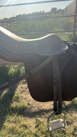 Sella mista GBS  17.5" - 2021