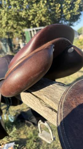 Sella mista GBS  17.5" - 2021