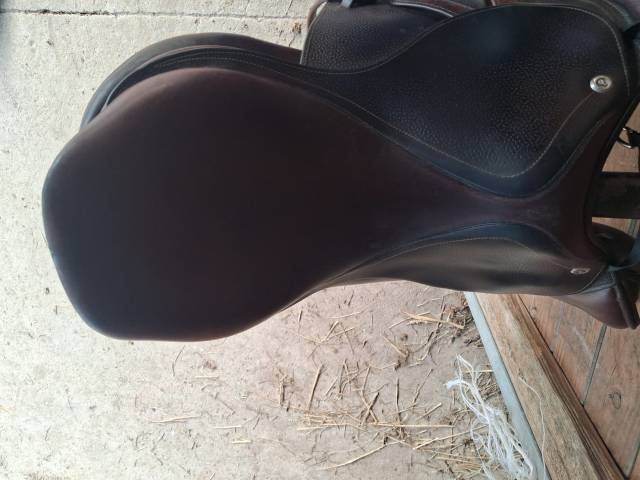 Sella da salto ostacoli CWD  17.5" - 2018