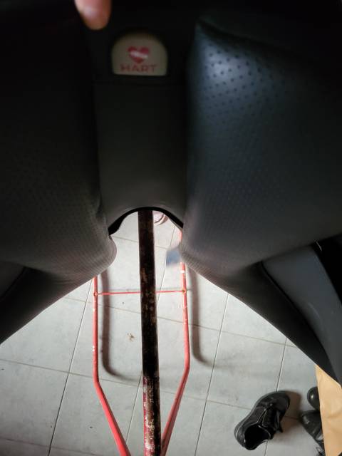 Sella mista Wintec  16.5" - 2025