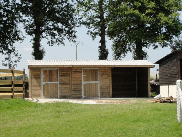 Box Cheval Liberté Nuovo