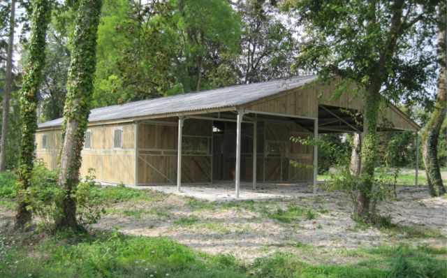 Box Cheval Liberté Nuovo