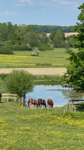 Ferme de Hiege 