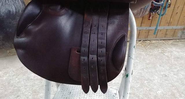 Sella da salto ostacoli Childeric FXL 17.5" - 2011