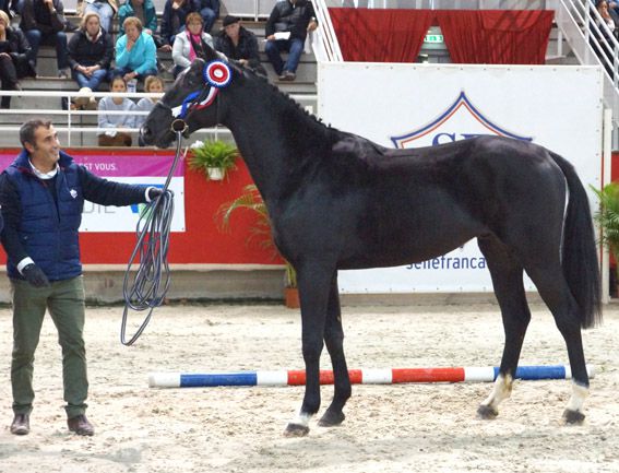 HARAS DES BICHES 