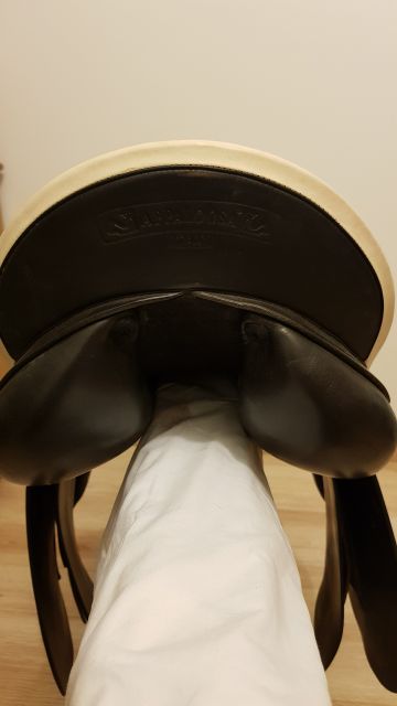 Sella da dressage Prestige Italia  17" - 2006
