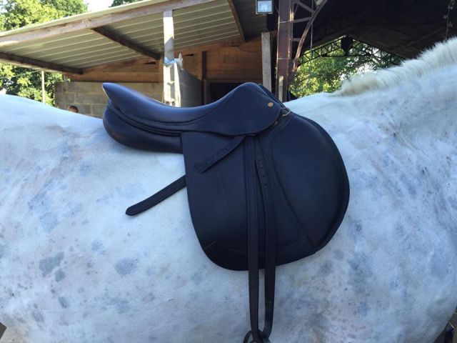 Sella mista   17" - 2015