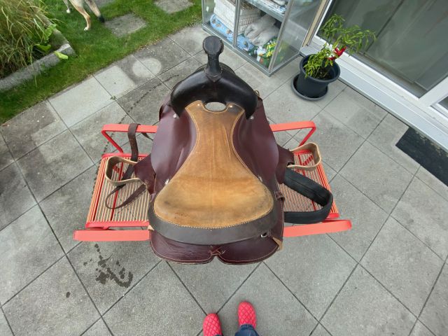 Sella western   17" - 2017