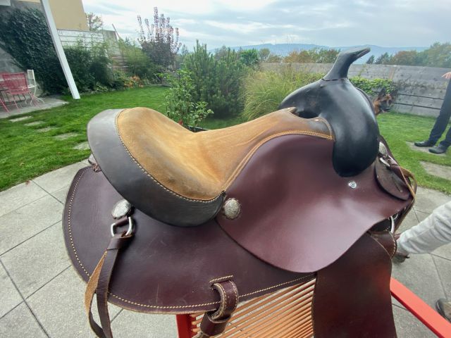 Sella western   17" - 2017