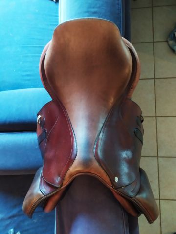 Sella da salto ostacoli GBS  17.5" - 2018