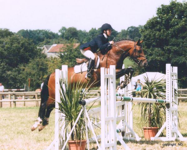 Willoway Montmain Gold Charm - New Forest 1994 ,  Woodrow Acting Master