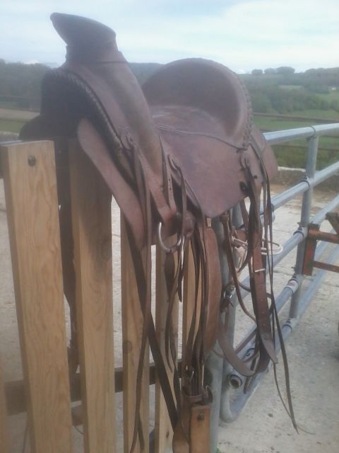 Sella messicana Cooper  16" - 2012