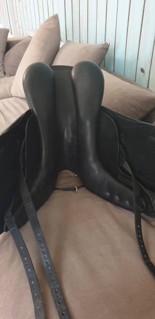 Sella da dressage   17" - 2018