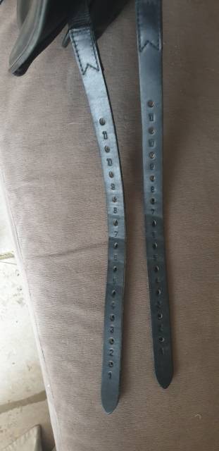 Sella da dressage   17" - 2018