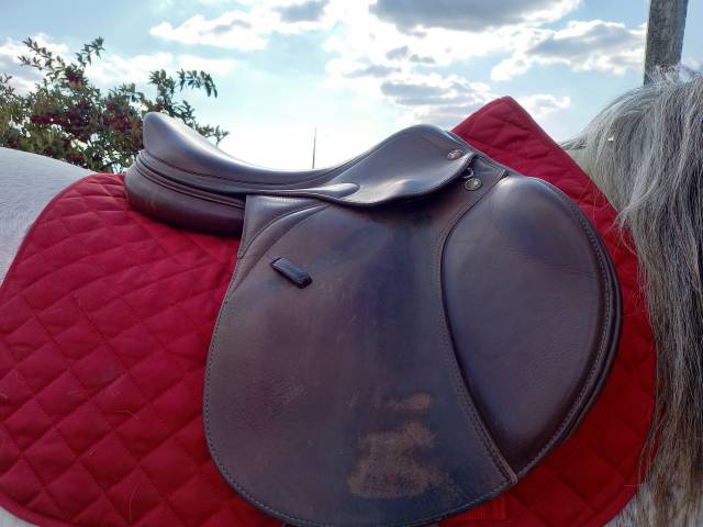 Sella da salto ostacoli Prestige Italia Meredith 16" - 2013
