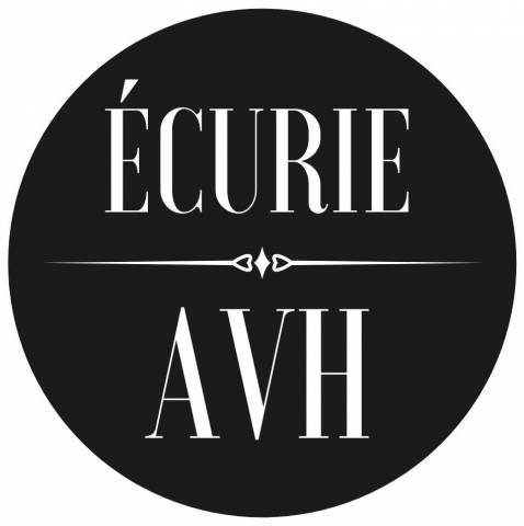 Écurie AVH  