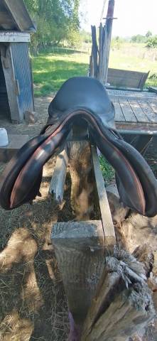 Sella da salto ostacoli Wintec .  17.5" - 2015