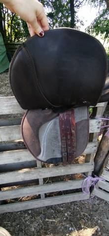 Sella da salto ostacoli Wintec .  17.5" - 2015