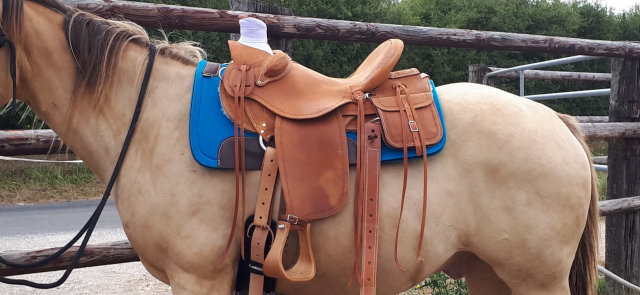 Sella western  wade 16" - 2018
