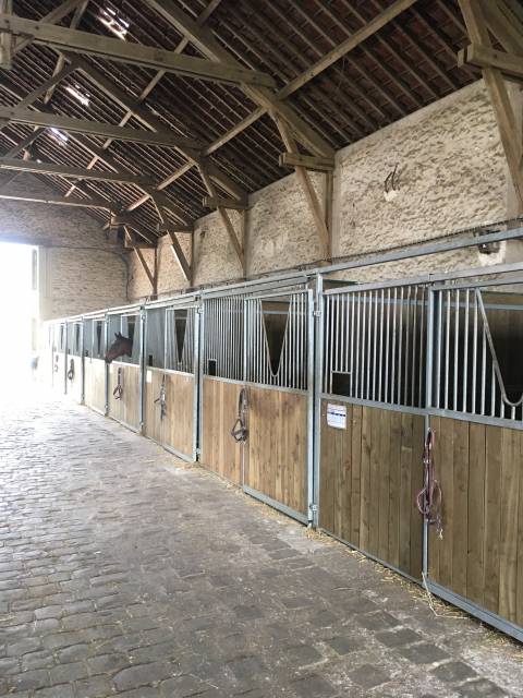 Haras du coin du bois  