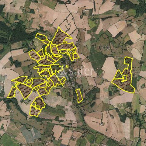 Azienda avicola In vendita Sarthe