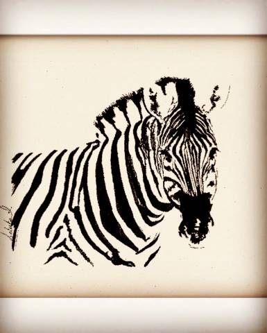  - Altra Marca - Nuovo