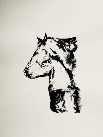  - Altra Marca - Nuovo