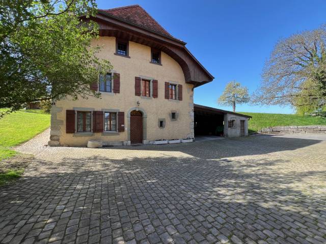 Azienda equestre In vendita Fribourg