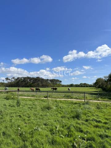 Proprietà equestre In vendita Vendée