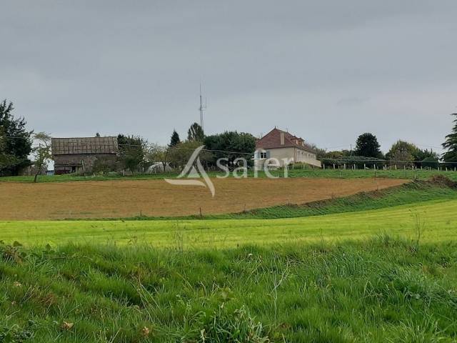 Azienda ovina In vendita Corrèze