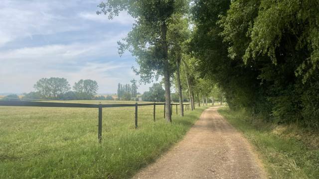 Centro di stagione cavallo In vendita Ain
