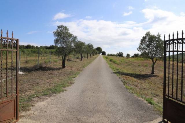 Bella dimora equestre In vendita Aude