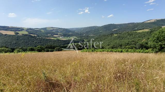 Azienda agricola In vendita Aveyron