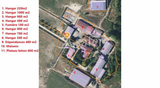 Azienda ovina In vendita Landes