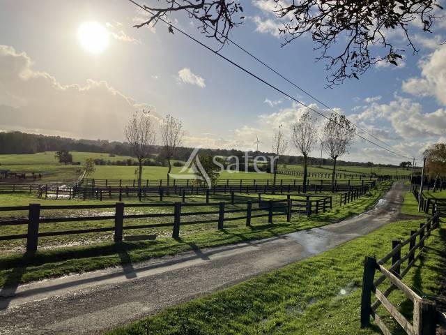 Azienda agricola In vendita Mayenne