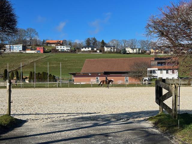 Centro ippico In vendita Fribourg