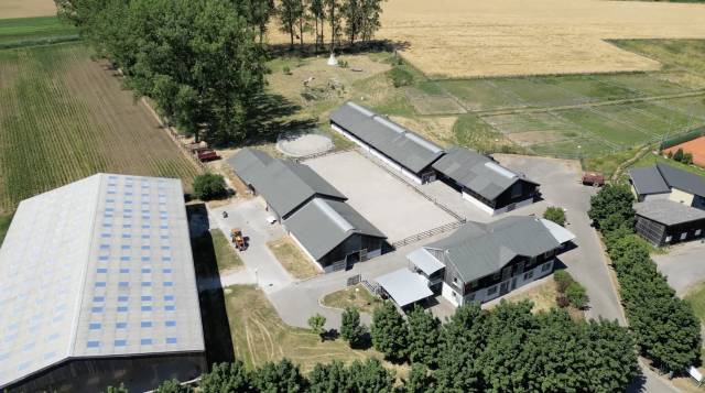 Centro di stagione cavallo In vendita Bas-Rhin