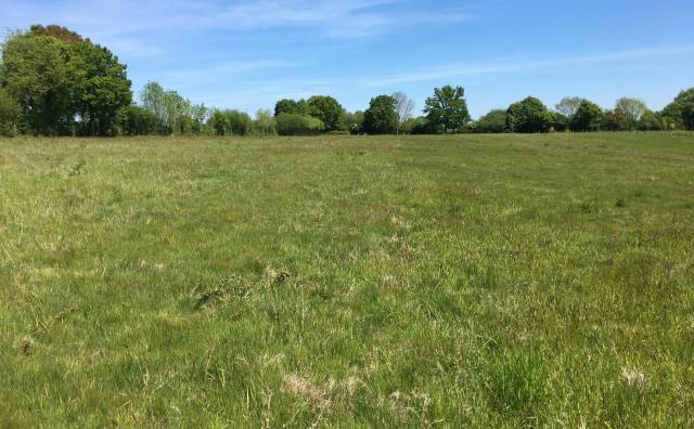 Centro di stagione cavallo In vendita Calvados