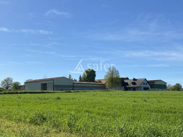 Azienda agricola In vendita Allier