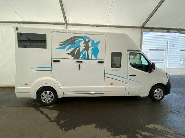 Van per Cavalli Renault Master 2021 Occasione