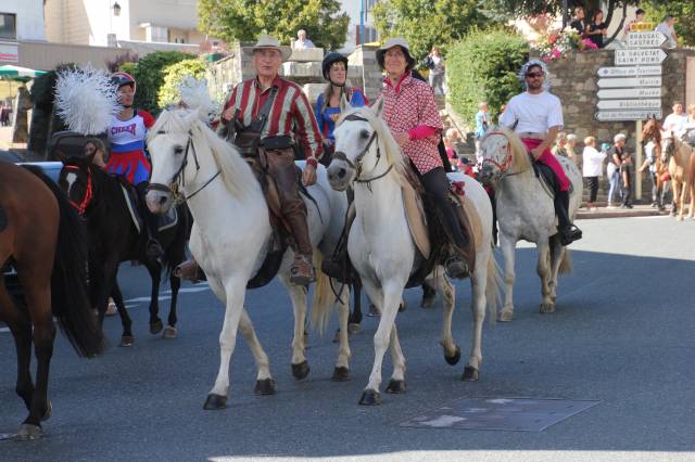 Sella da trekking   17" - 2000