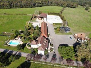 Centro di stagione cavallo In vendita 