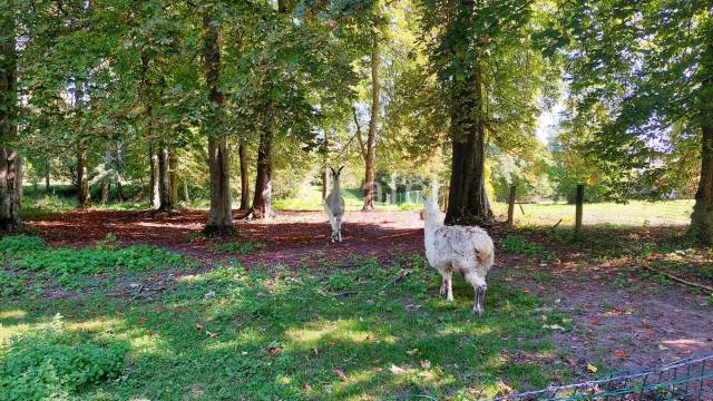 Proprietà equestre In vendita Seine-et-Marne