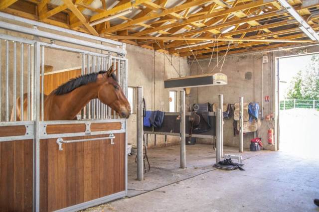 Centro di stagione cavallo In vendita Isère